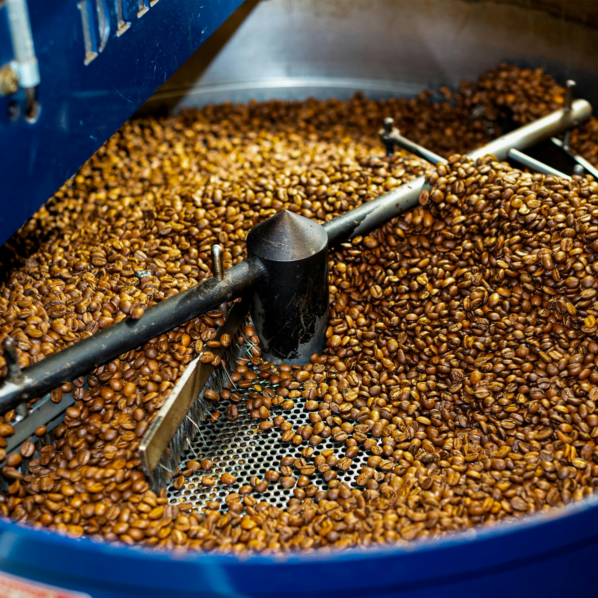 A close-up shot of freshly roasted coffee beans inside a large blue roasting machine, with beans being stirred and processed